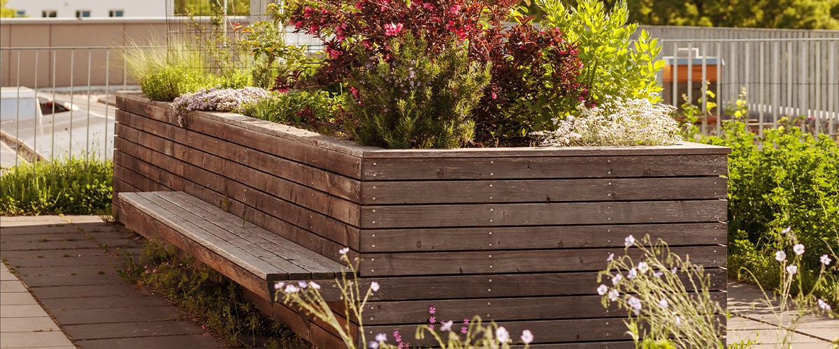 Raised flower bed on apartment roof
